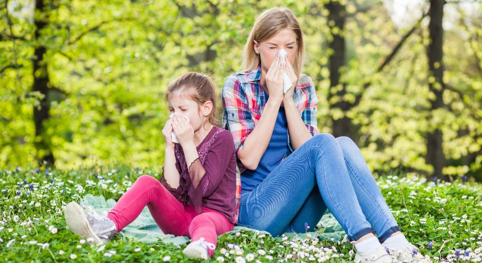 Spring Allergies: How to Prepare Your Body & Home for Allergy Season